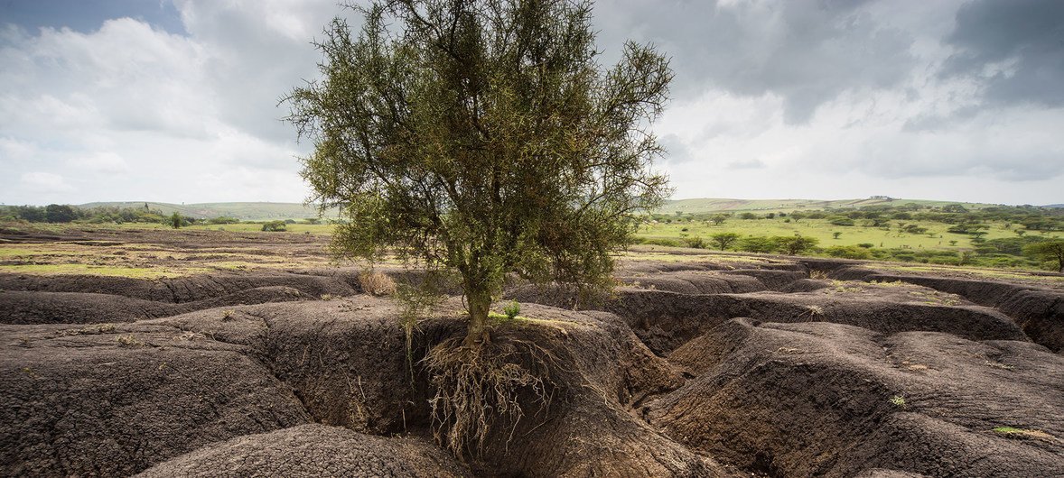 Soil Erosion